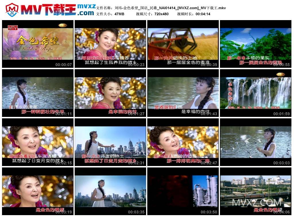 刘玮-金色希望_国语_民歌_NAI01414